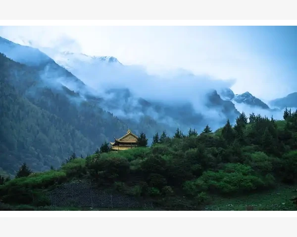 拔完罐后多久才能再拔？中医师为你揭秘
